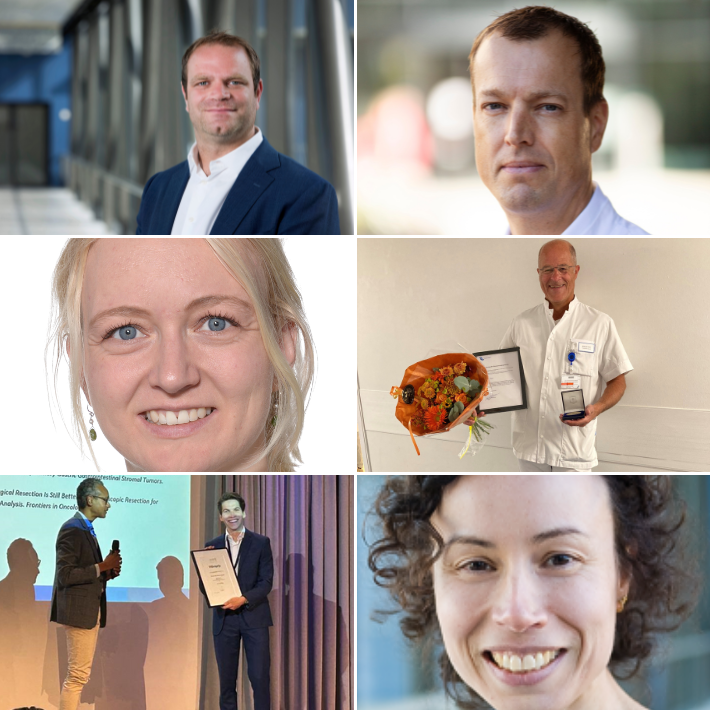 Collage van foto's uit het artikel Collage van foto's uit het artikel