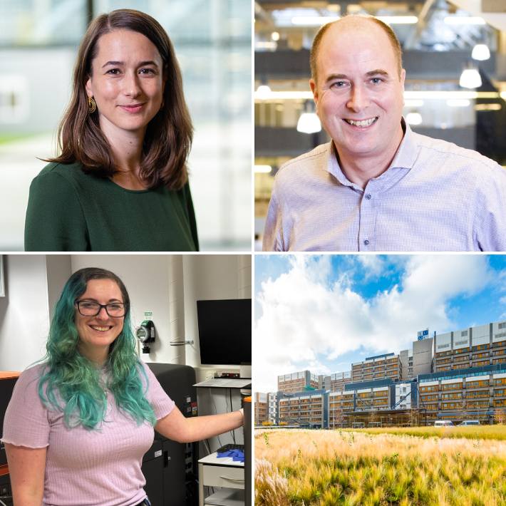 Collage van foto's uit het artikel